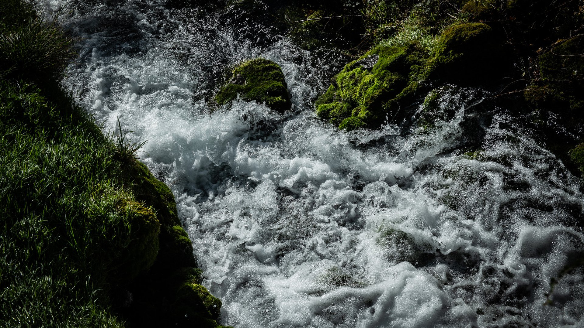 Manzoni & Co. Capitolo I